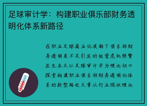 足球审计学：构建职业俱乐部财务透明化体系新路径